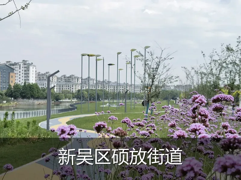 新吴区硕放街道